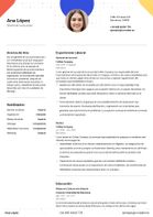 CV Template